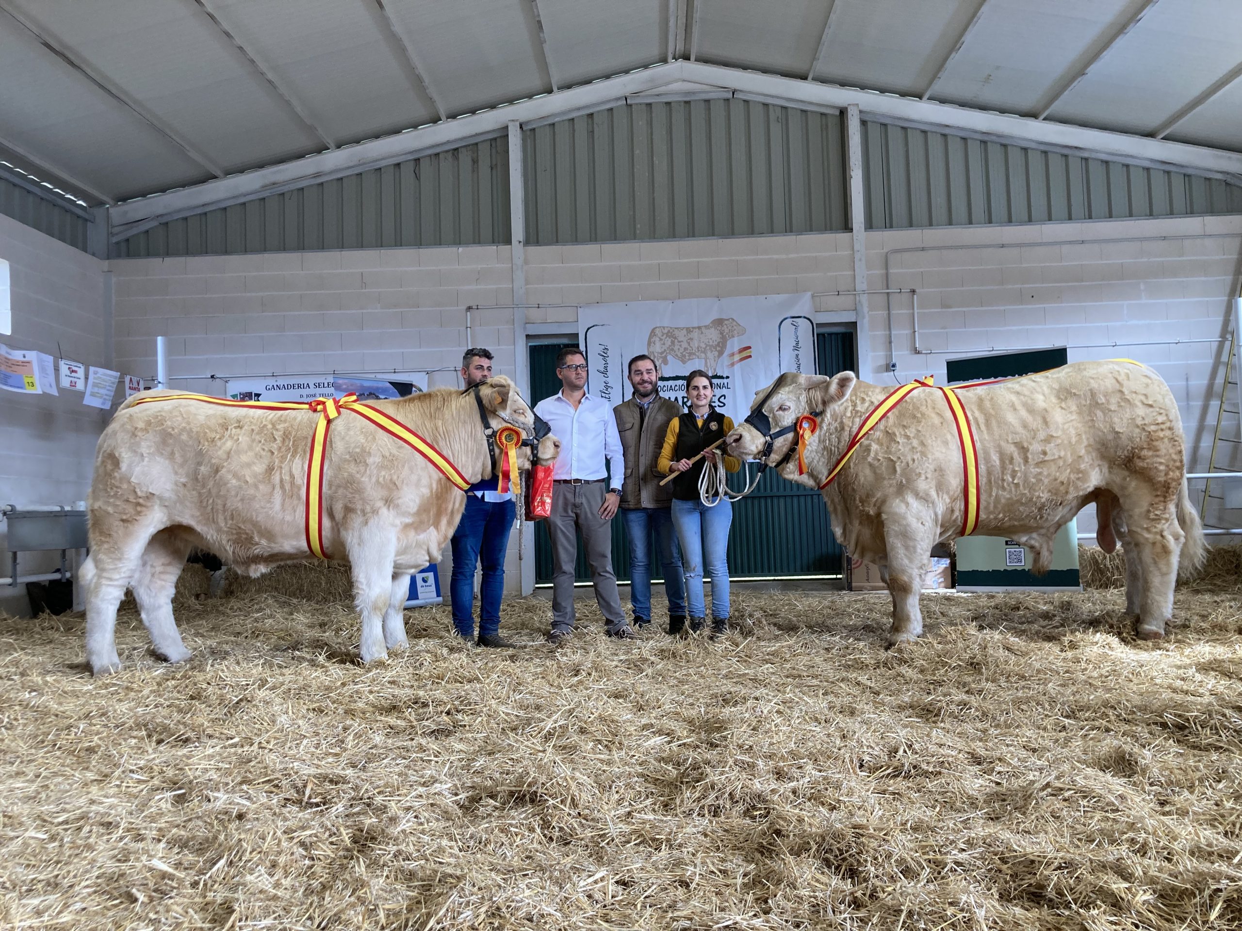 EXPOSICIÓN NACIONAL DE GANADO SELECTO ALBALÁ 2022