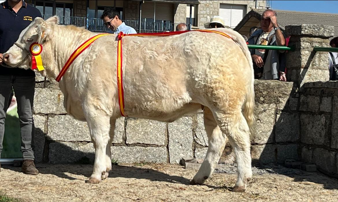 CAMPEONA JOVEN