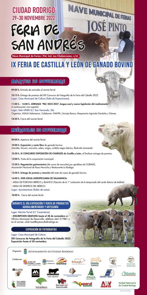 Cartel feria 2022