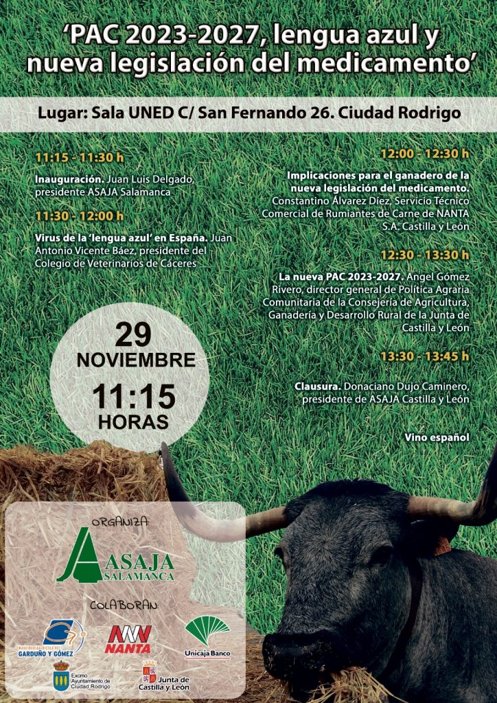 Cartel jornada día 29