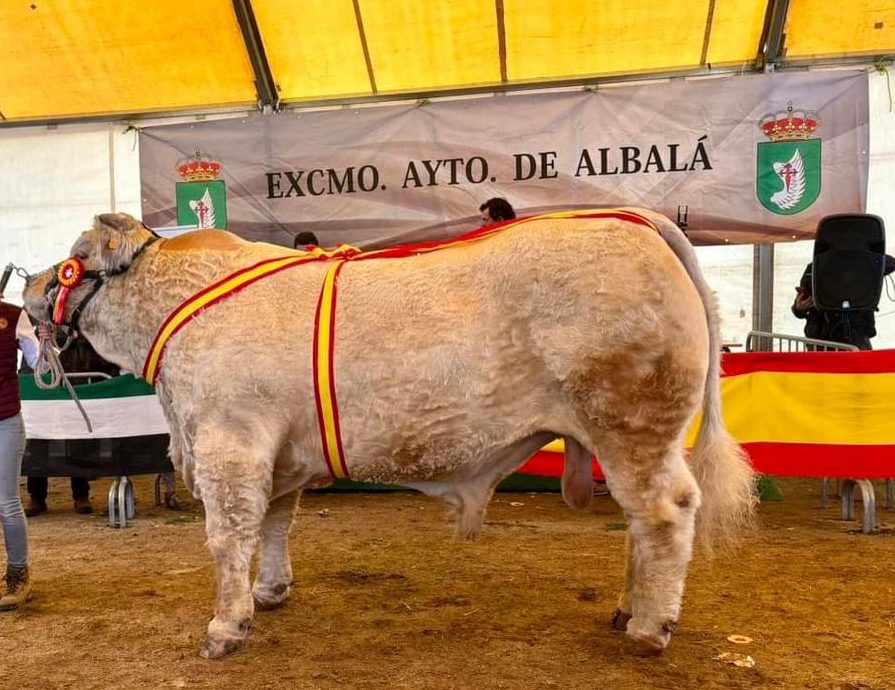 FERIA DE ALBALÁ 2023