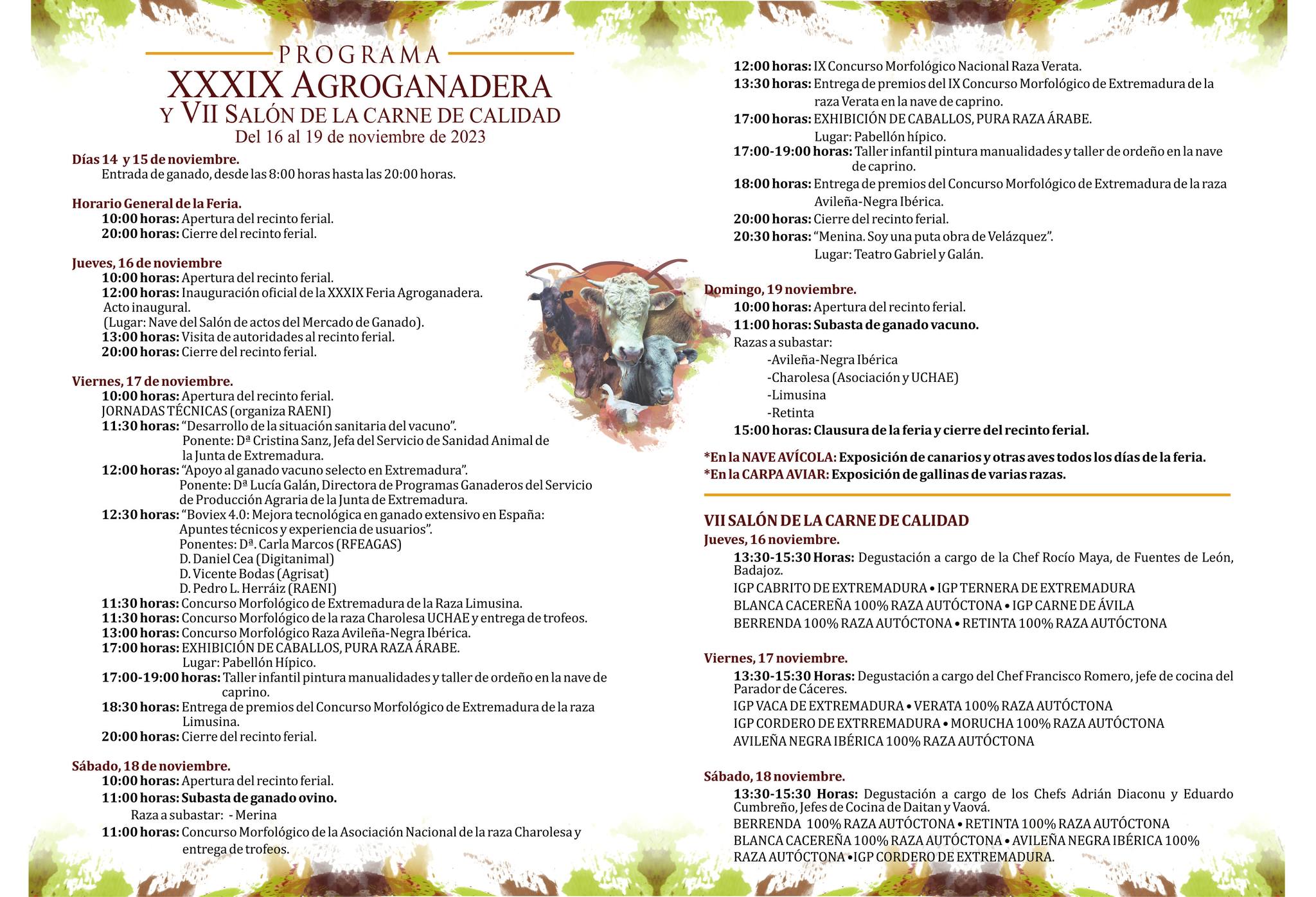 PROGRAMA COMPLETO