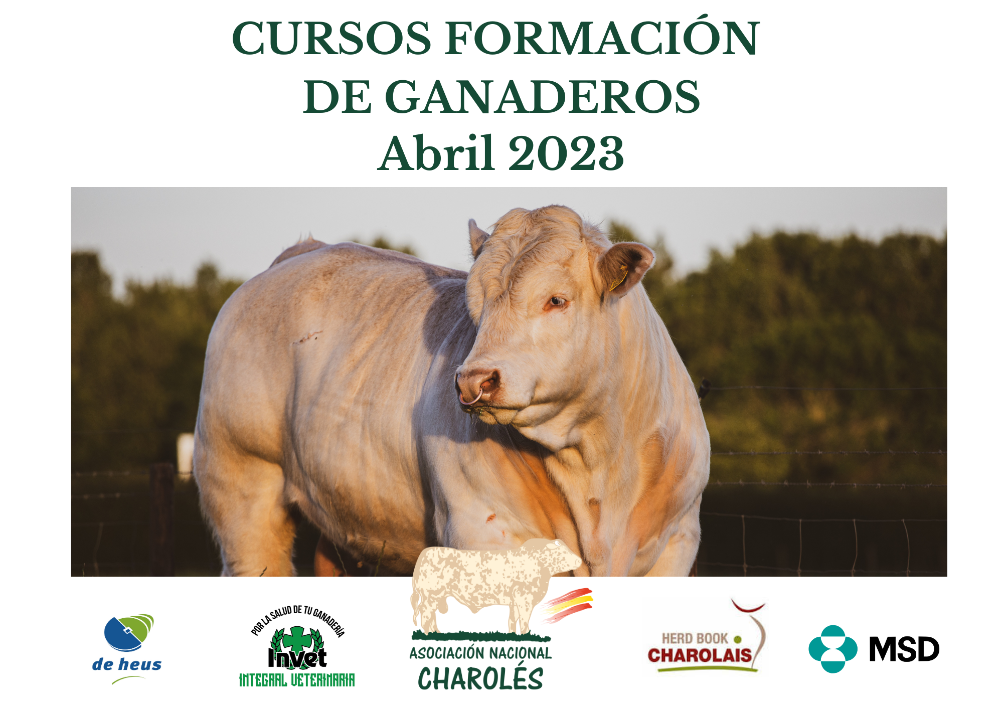 CARTEL FORMACION ABRIL
