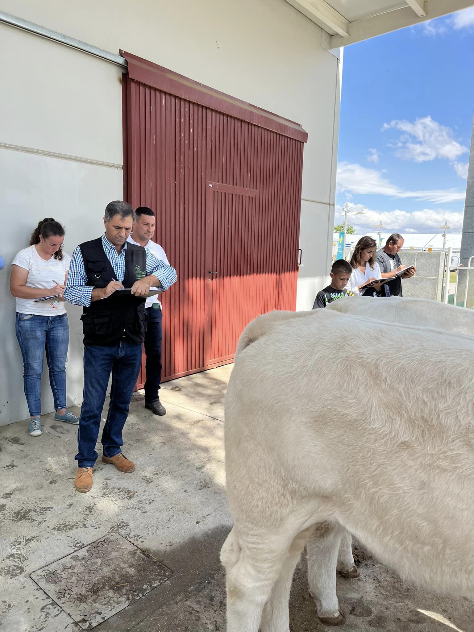 PARTE PRÁCTICA ANIMALES DE LA FERIA
