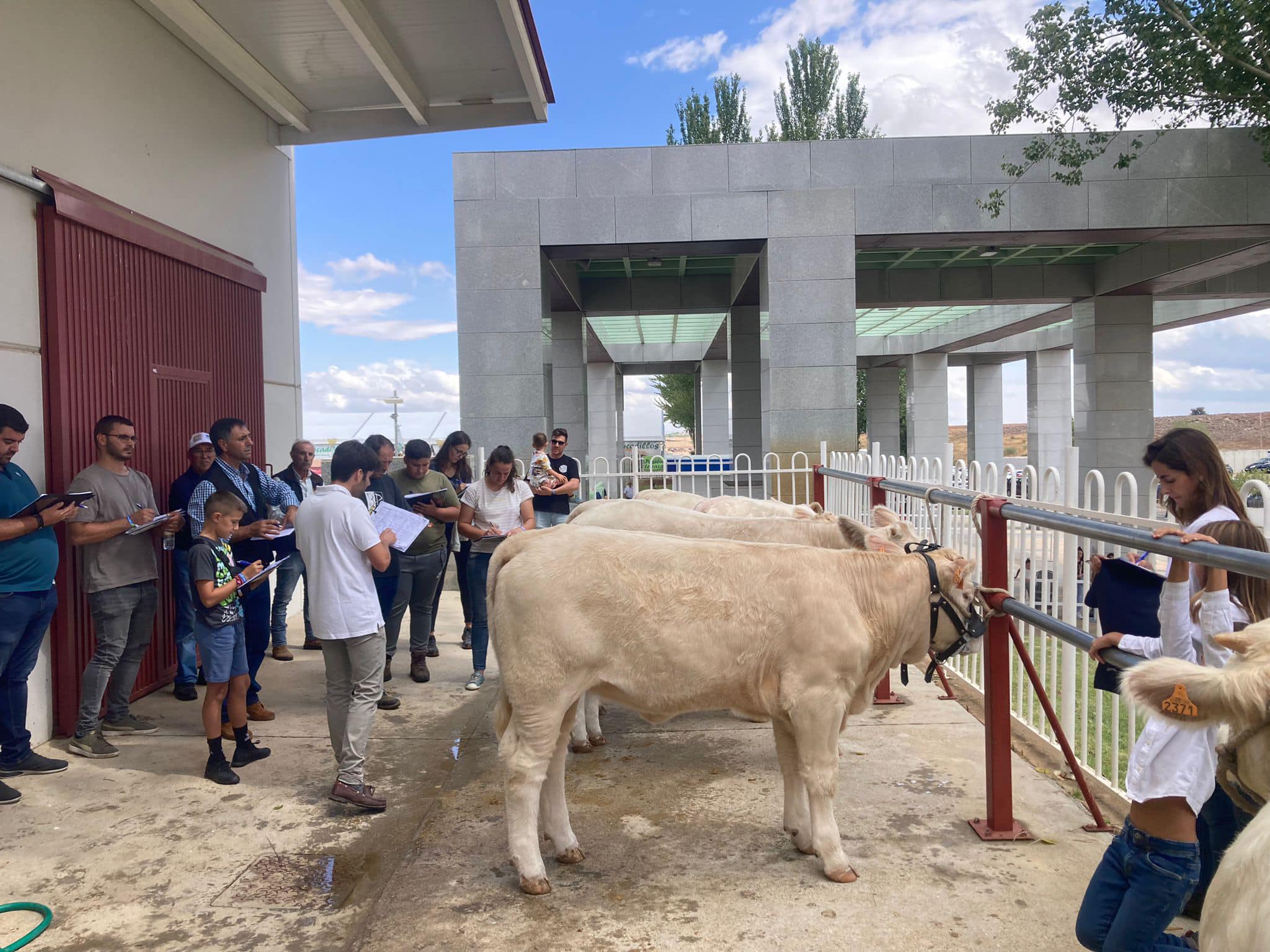 PARTE PRÁCTICA ANIMALES DE LA FERIA