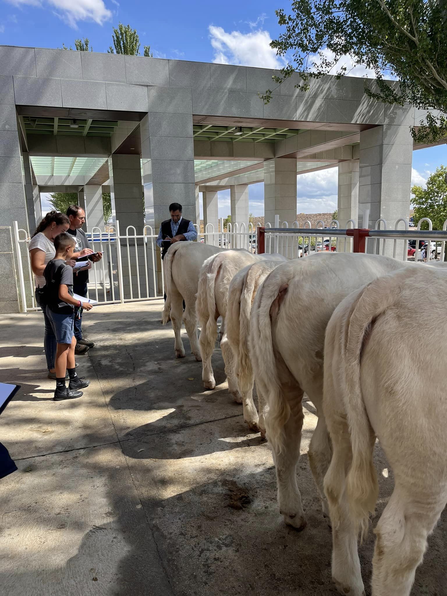 PARTE PRÁCTICA ANIMALES DE LA FERIA