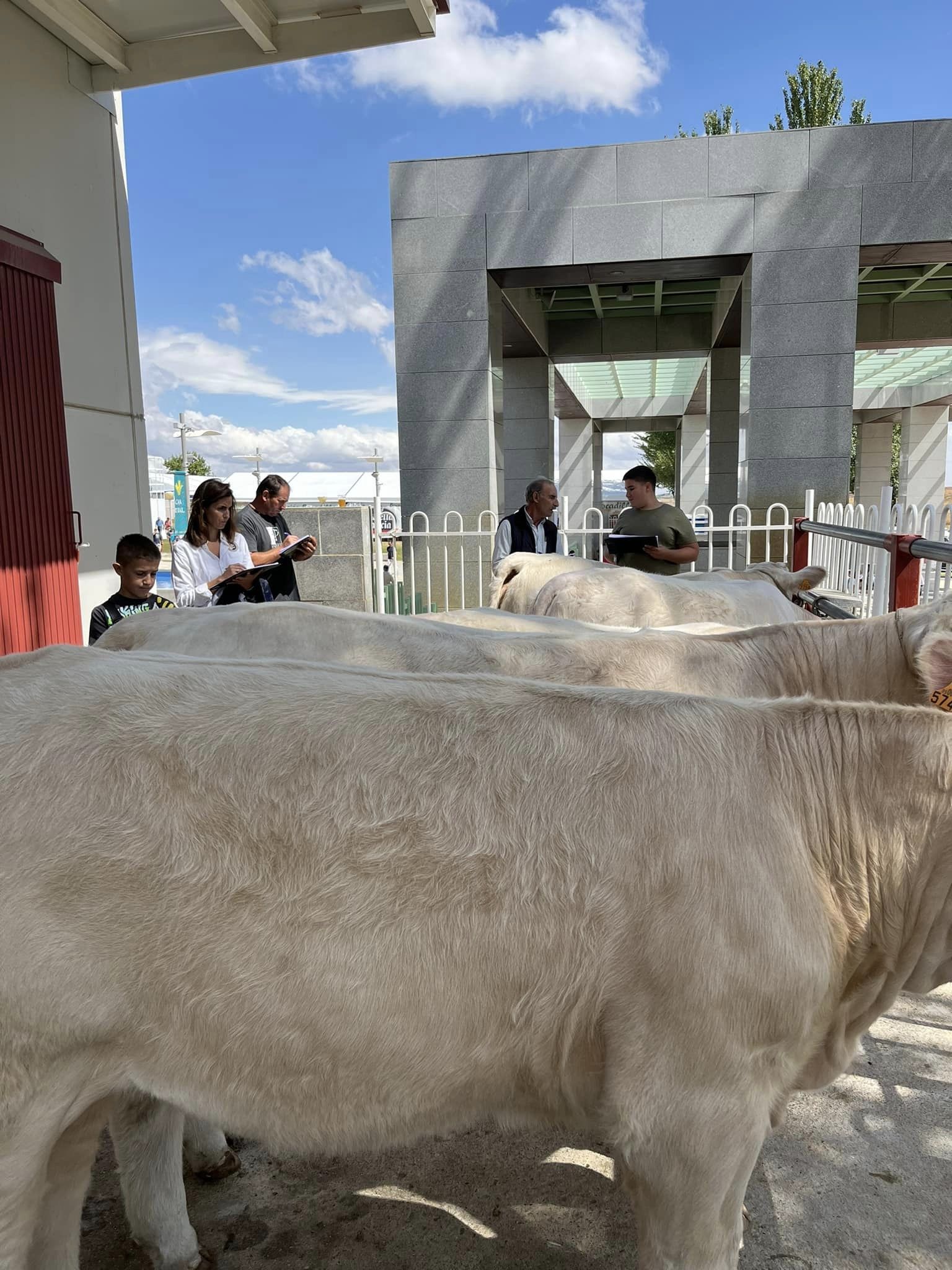 PARTE PRÁCTICA ANIMALES DE LA FERIA