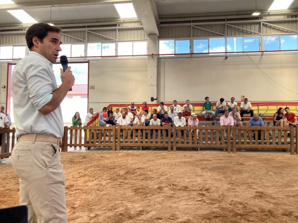 D. Andrés Domingo
