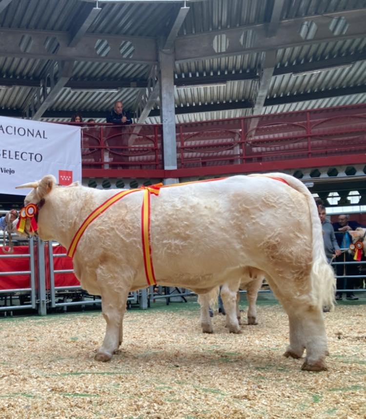 MALAGUEÑA, GRAN CAMPEONA