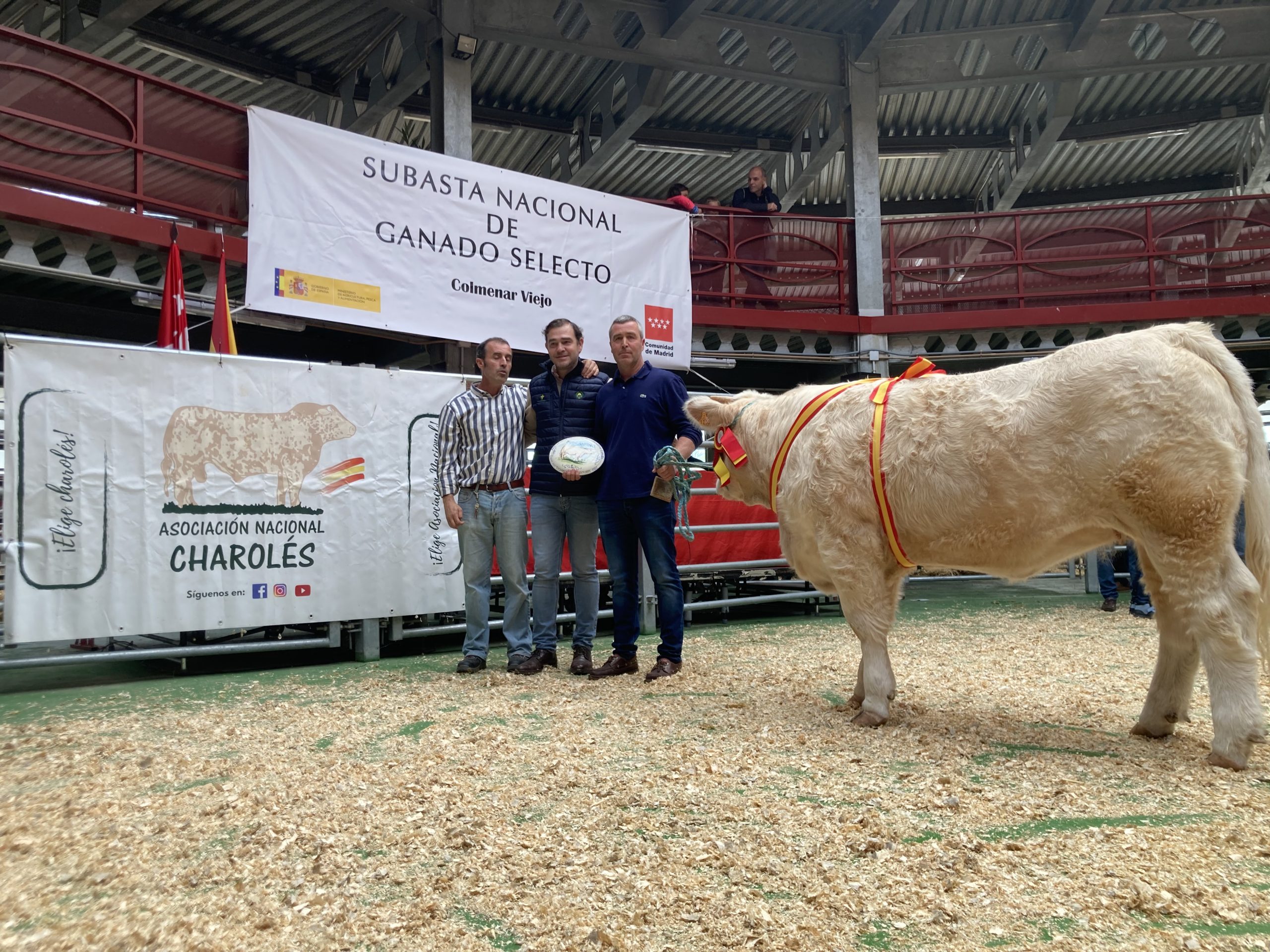 SUBCAMPEONA