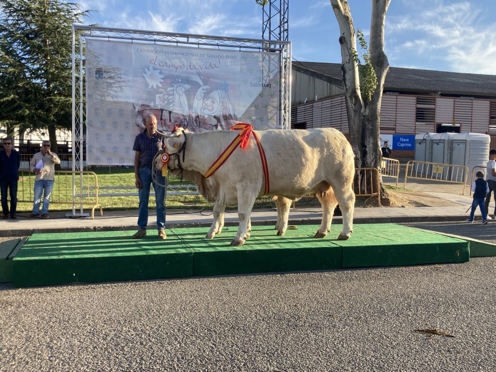 EMI (SINNDAR X XILOMA) SUBCAMPEONA ADULTA
