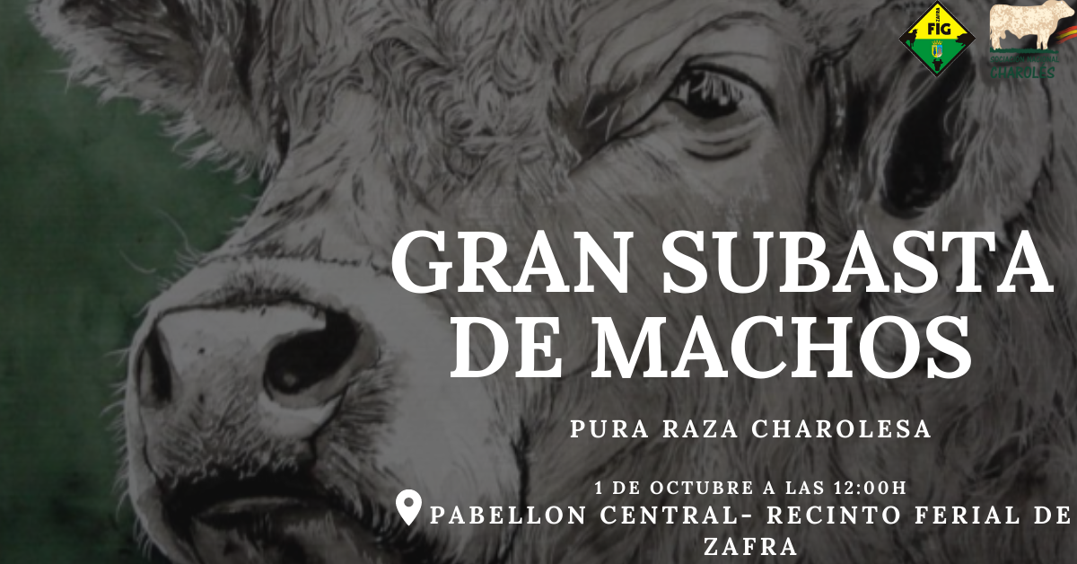 Subasta Nacional de Machos