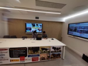SUBASTA ONLINE COLMENAR VIEJO