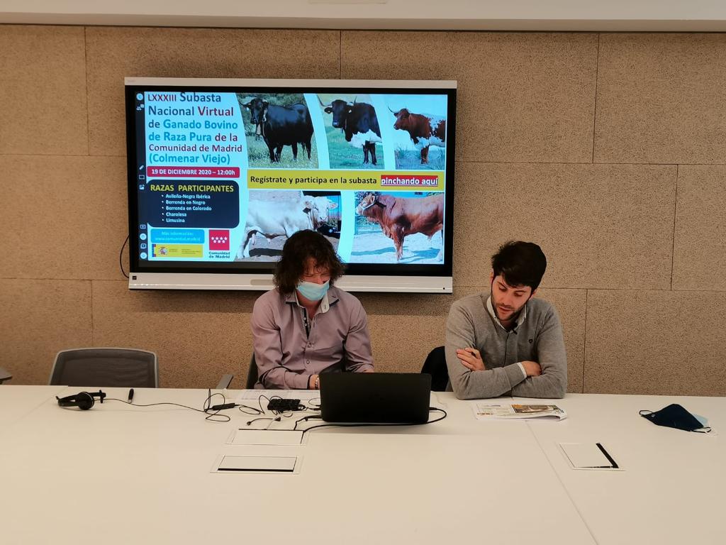 SUBASTA ONLINE COLMENAR VIEJO