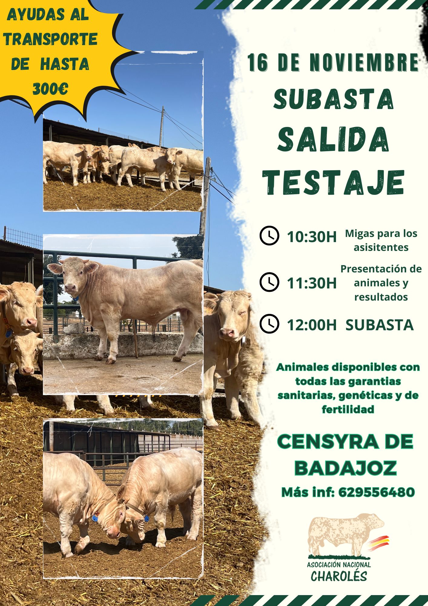 CARTEL SUBASTA